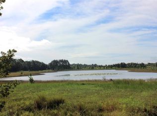 8101 Sergeant Pepper Dr, Howey In The Hills, FL 34737