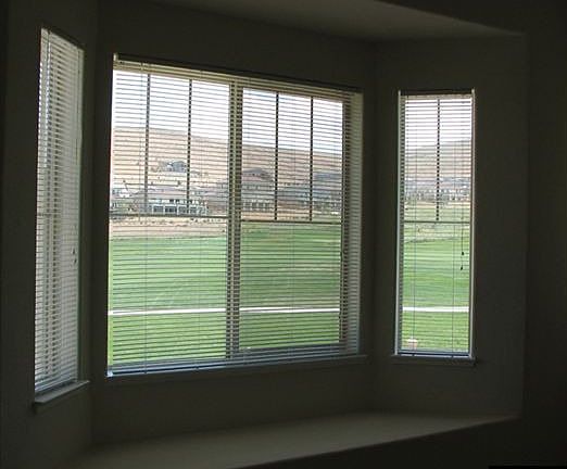 Master BR Bay Window
