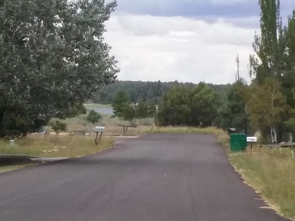 Lake view 