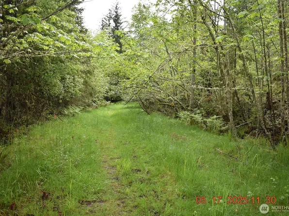0 Lot 40 Township Line Road, Port Angeles, WA 98362
