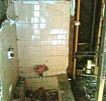 5th image of 5163 Denoron Dr