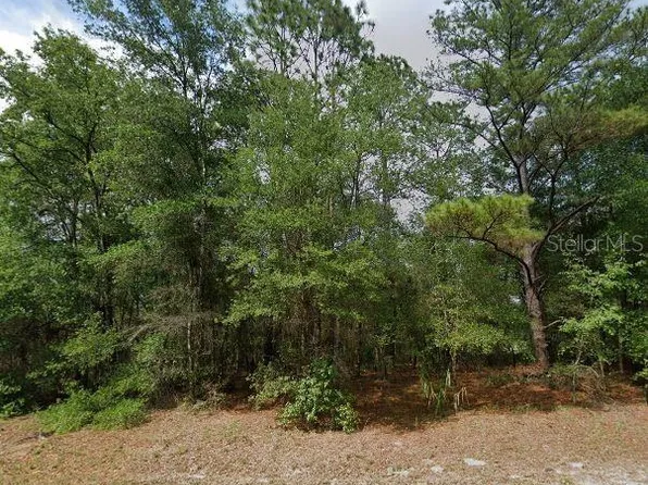 10969 N Adler Dr #42, Dunnellon, FL 34434