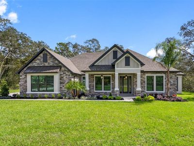 13458 Haflinger Way, Hudson, FL, 34667