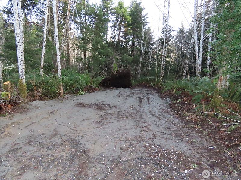 3rd image of 0 Oregon Lane