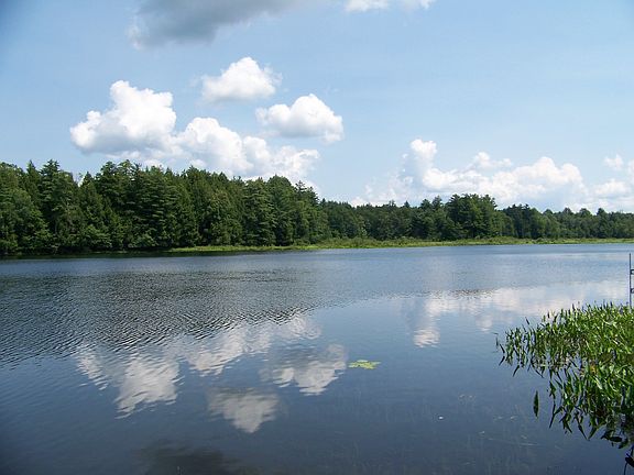 No other homes are on Gifford Lake. Complete privacy! 