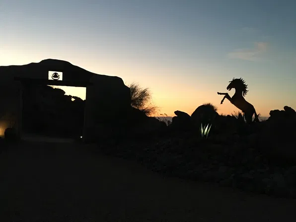 56250 Las Rocas, Mountain Center, CA 92561