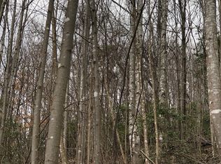 Off Stagecoach Rd, Cana, VA 24317