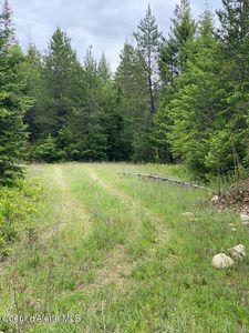 Nna Forsgren Ln LOT 1, Athol, ID, 83801