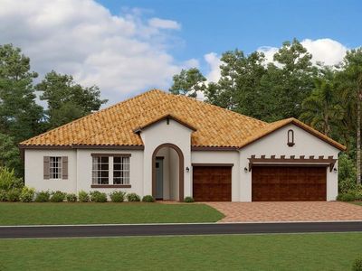 17109 Star Banks St, Wimauma, FL, 33598