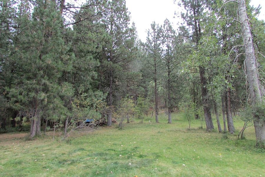 2nd image of 72750 N Lemlama Trl