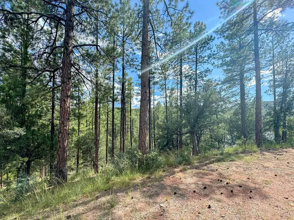 14 W Wipila Wiki Dr, Payson, AZ 85541