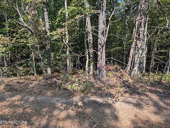 4th image of 120 Beachwood Dr #145