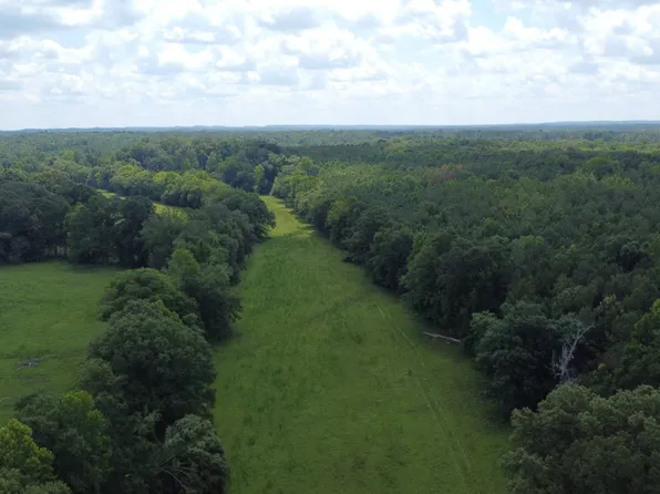 2351 Old Sellers Rd, Ramer, AL 36069