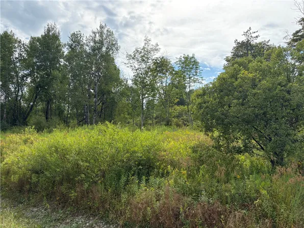 Sheff Rd #7, South New Berlin, NY 13843