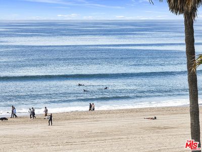2611 Ocean Front Walk, Venice, CA, 90291
