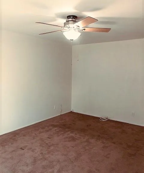 3101 Manhattan Ave #3101 — Photo 14