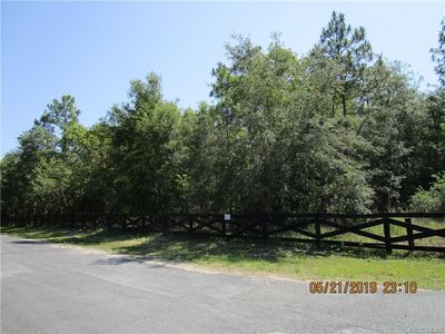 1847 N Frazier Ter, Hernando, FL, 34442