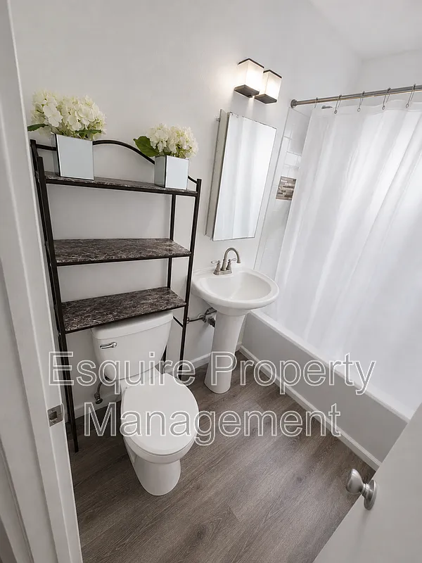 2 bed, 1.0 bath, 950 sqft, $2,395 — Photo 3