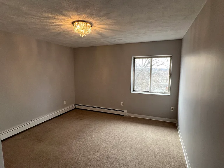 234 Palfrey St #234 — Photo 6