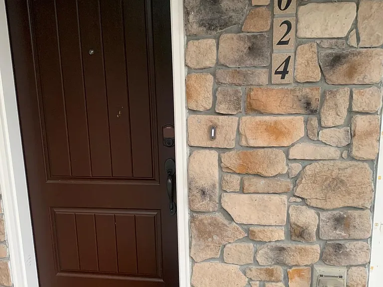 Entry Door