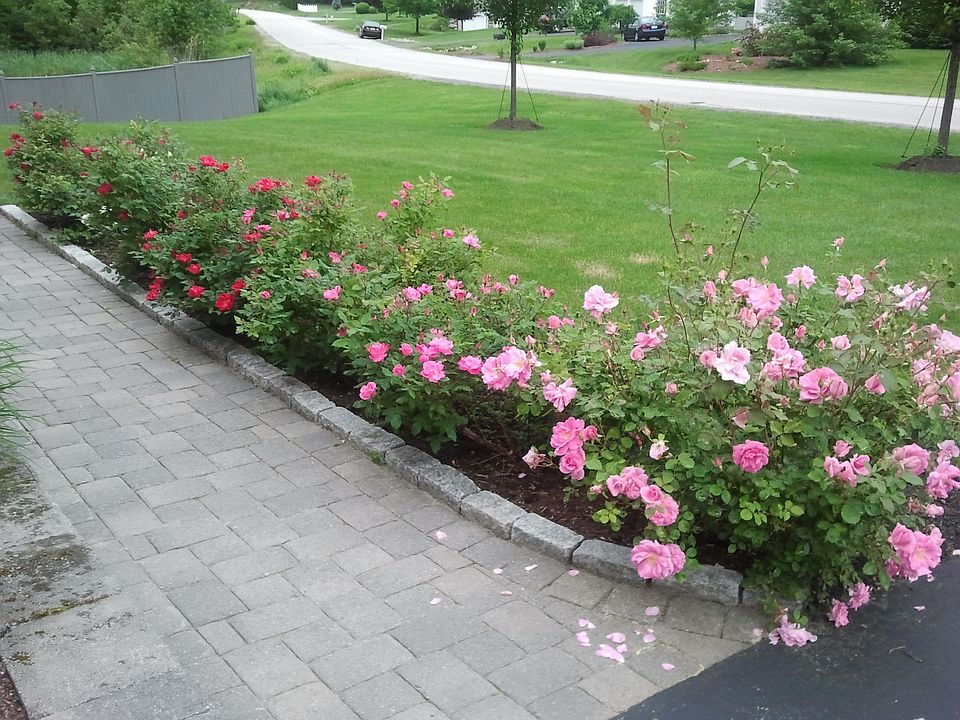2nd image of 17 Buckingham Dr