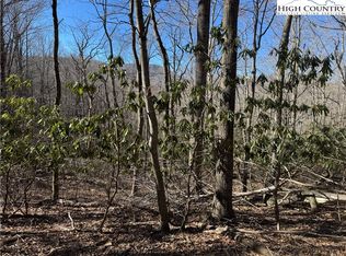 Grace Mountain Rd, Todd, NC 28684