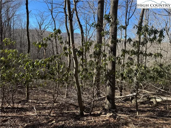 TBD Grace Mountain Road, Todd, NC 28684