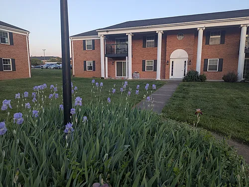 Brandon Point Apartments Photo 1