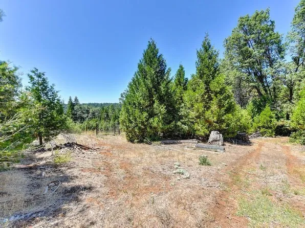 18880 Amador Ave, Pioneer, CA 95666