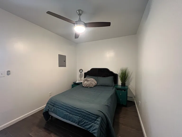 255 Lafayette Pl #2 — Photo 3