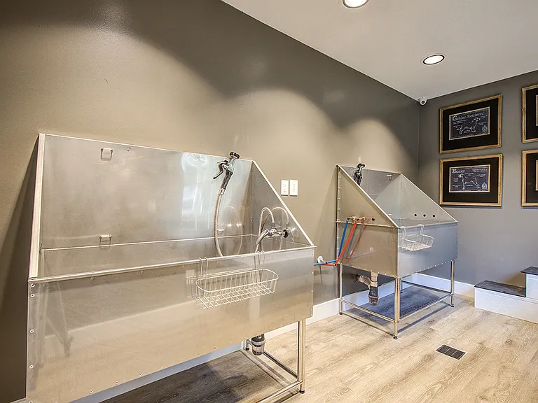 Canopy at Baybrook Apartments — Photo 8