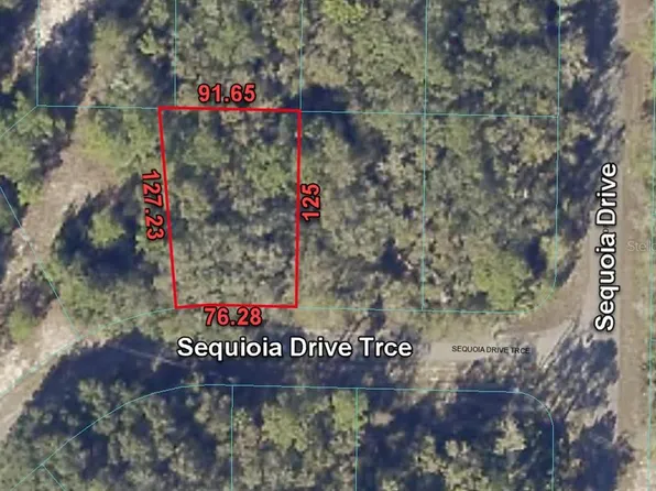 5 SEQUOIA DRIVE TRACE LOT 6, OCKLAWAHA, FL 32179