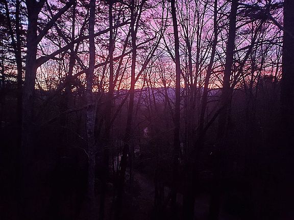 Sunrise in the Winter 