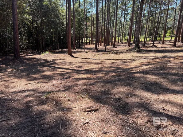 0 W Waterview Dr, Loxley, AL 36551