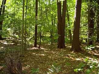 2nd image of Lot B Basin Bay