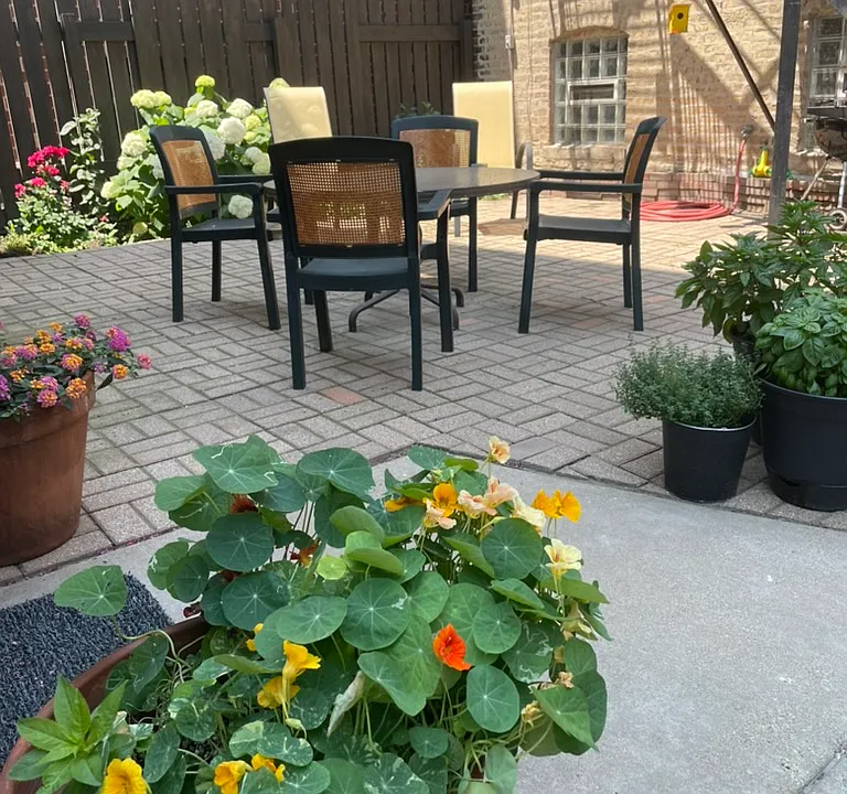 courtyard outside the coach house door