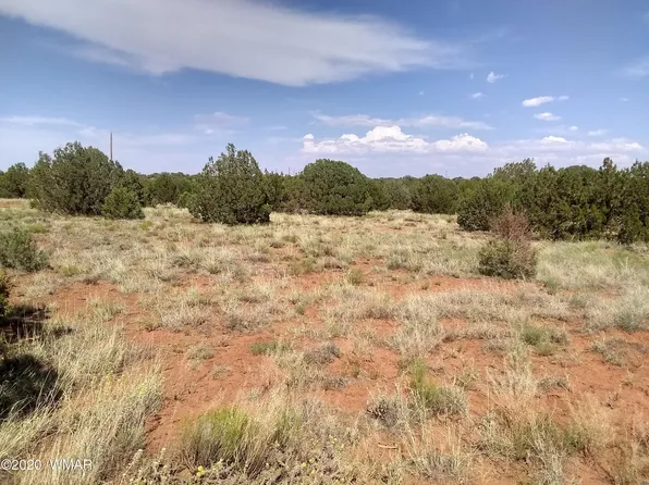 4395 Clydesdale Rd, Snowflake, AZ 85937