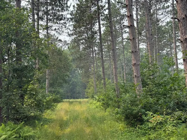 Xxx Mann Rd, Spooner, WI 54801