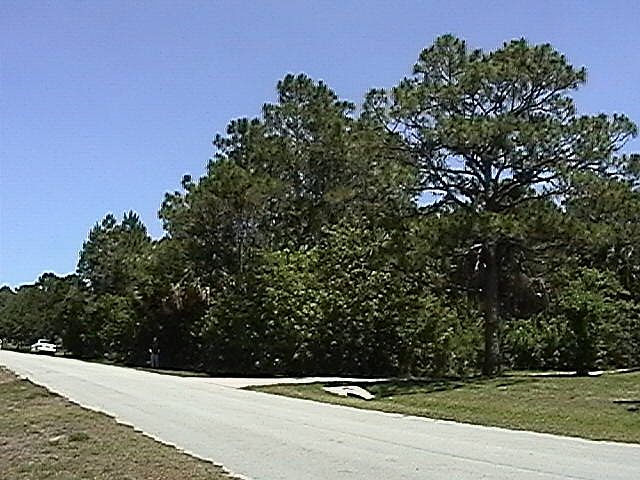 1st image of 5345 Sand Lake Dr
