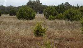 1st image of 9660 County Road 272
