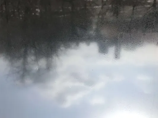 Rented by Sandra Ospina, Licensed Real Estate Broker | media 28