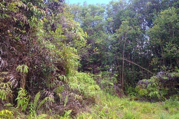 1st image of Maui St Lot 1