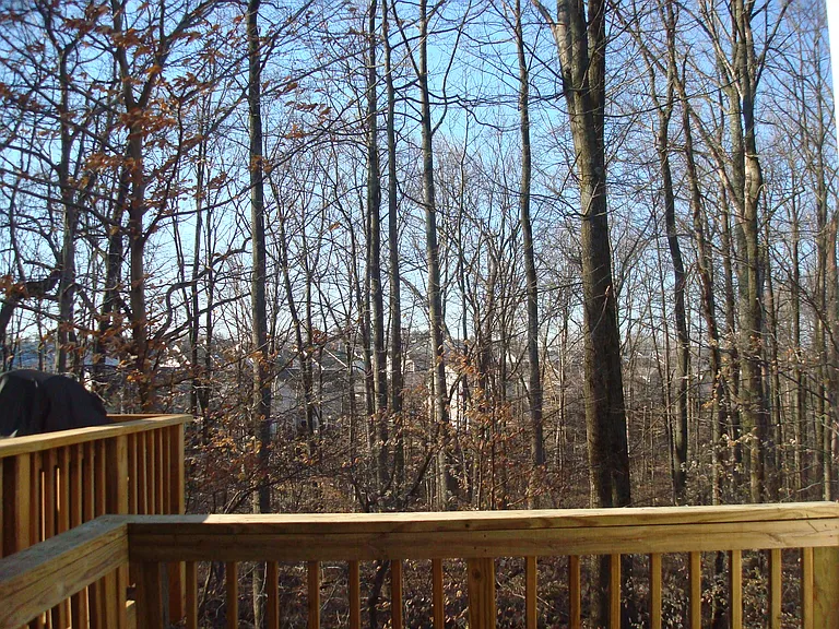 13704 Harvest Glen Way #2 — Photo 2