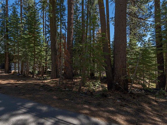 5th image of 51005 Jeffery Pine Dr