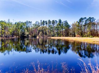 6850 Ingalsbe Dr, Ravenel, SC 29470