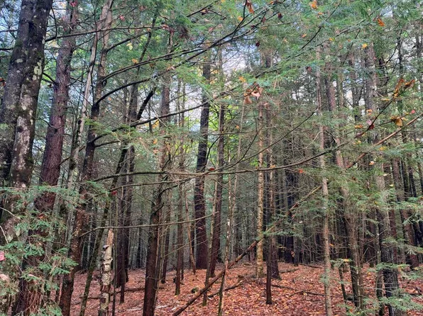 Lot 7E Milliken Road, Parsonsfield, ME 04047
