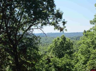 771 McKenzi Ridge Ln, Flippin, AR 72634