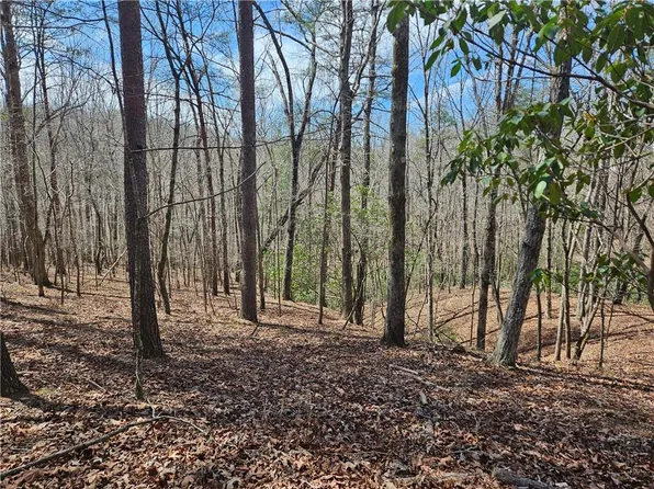 0 Bumpy Trl, Dawsonville, GA 30534