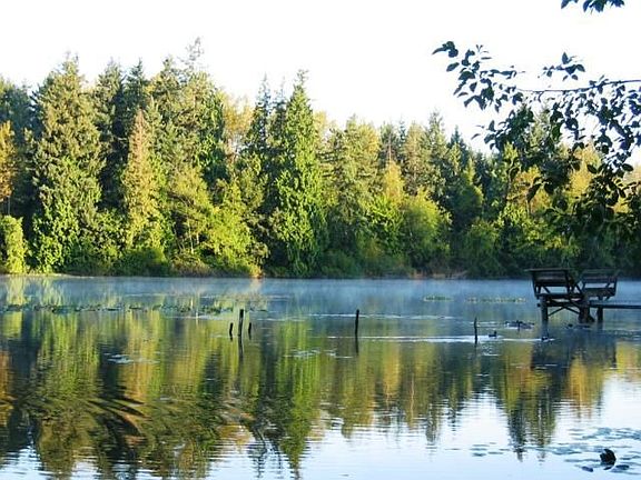 MIST ON LAKE