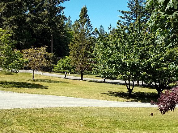 Side Yard